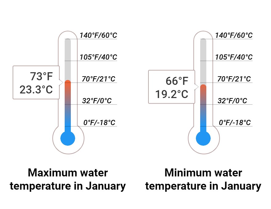 Average Sea temperature